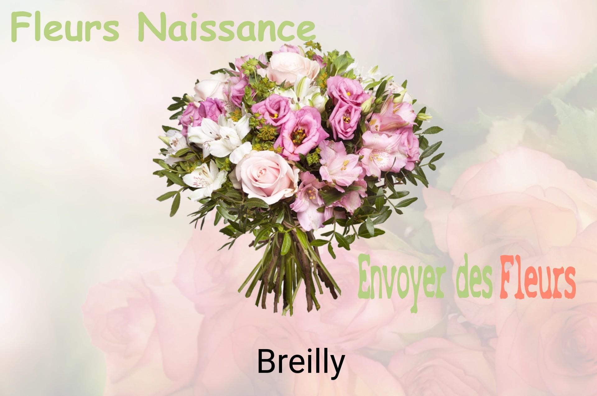 Bouquet de fleurs de naissance livré à Breilly